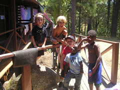Kids camp